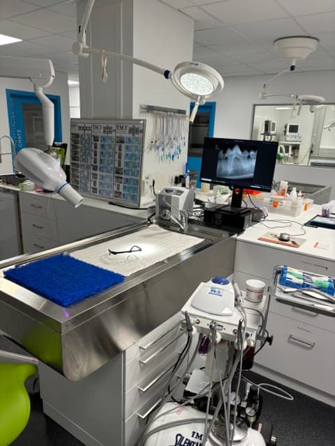 Dentisterie vétérinaire