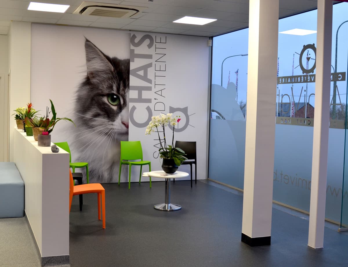 Salle d'attente chats