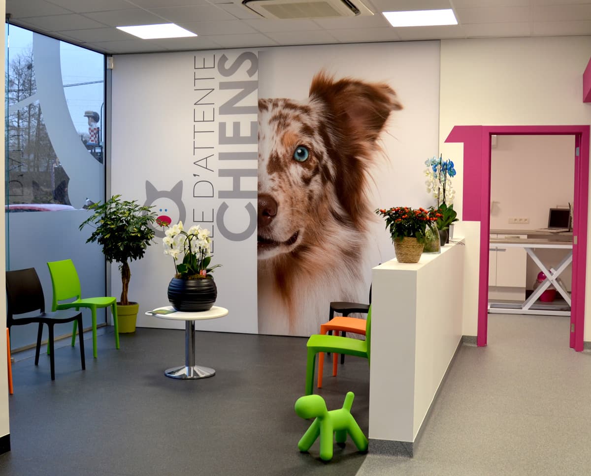 Salle d'attente chiens